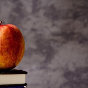SOAR Learning Book Introduction (Brief)